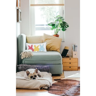 C&F Home 10" X 20" Easter Bunny Bum Spring Applique Throw Pillow 1 C&F Home 10" X 20" Easter Bunny Bum Spring Applique Throw Pillow