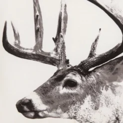 C&F Home Deer Forest Indoor And Outdoor Throw Pillow 7 C&F Home Deer Forest Indoor And Outdoor Throw Pillow -C&F Bedding Deals Store GUEST 83576fe7 9318 4e46 8ba9 6ad3a03b00bb