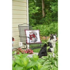 C&F Home 18" X 18" Plaid Squirrel Indoor / Outdoor Christmas Holiday Throw Pillow -C&F Bedding Deals Store GUEST fa9ab4aa eaea 446a 9ad9 a0e7049e2f24